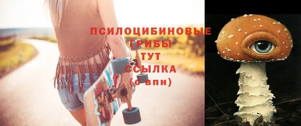 скорость Бронницы
