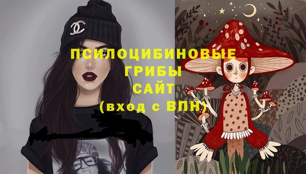 МДМА Богородицк