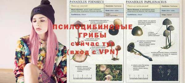 скорость Бронницы