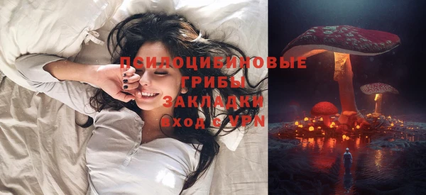 МДМА Богородицк