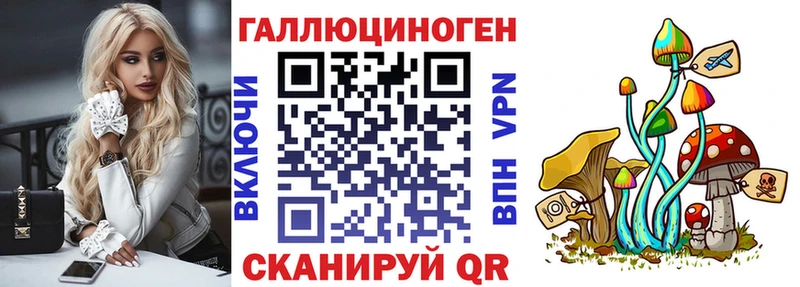 закладка Углегорск Псилоцибиновые грибы Psilocybe